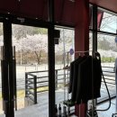 더바름 | 원주맞춤정장: 더바름 비스포크, 촬영용 정장대여 후기