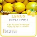 연지과일