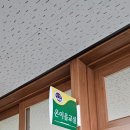 밝은학교 이미지