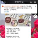 라베야케이크