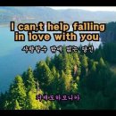 I can,t help falling in love with you-하모니카연주 이미지