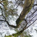 향기가득길 이미지