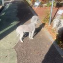 센추럴 | 발로란트 에이스의 11월 요약본