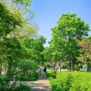 보라매공원 이미지