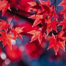 카메라 무작정 따라하기 이미지