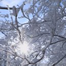 엄동설한 겨울을 보내는 철원의추위,인제의 설피 마을 곰배령,곡성,영월 두치재,단양 소백산으로 떠나는 한국 기행(EBS,2/19~23,9 이미지