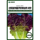 신토담이 이미지