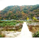 삼성사슴농장 이미지