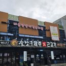 바른댕댕 애견유치원 이미지