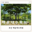 원두막 흑염소 | 부산 아이랑 가볼만한 곳 해운대수목원 관람카트 예약 이용 후기