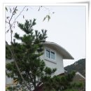 남해황토가 이미지