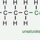 [펌]포화지방산과 불포화지방산 이미지
