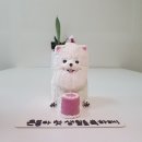 댕댕어썸 이미지