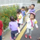 성아유치원 이미지