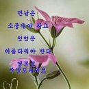 기분좋은날 이미지