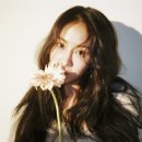 마이블러썸