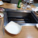 힘찬 민물 장어 이미지