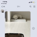 정세영농장 네이버블로그