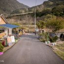 소백산오토캠핑장 이미지