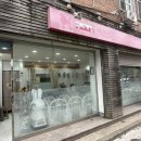 쿨독펫샵 이미지