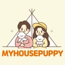 마이하우스퍼피 애견호텔 유치원 이미지