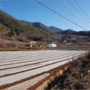 어상천면사무소 이미지