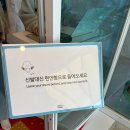 와룡대교입구1(우측) | [부산] 오션뷰 대박 광안리 여행 내돈내산 숙소 HOTEL1 로맨틱 타입 숙박 후기 (주차, 루프탑, 야경, 일출)