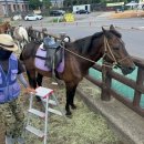 건짐 | 제주도 성산일출봉 광치기해변 승마 내돈내산 후기 인생샷 건짐