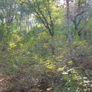 두산2리경로당 이미지