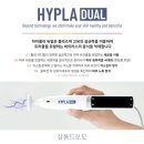 플라쏘 이미지