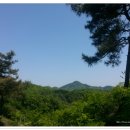 솔치농장 티스토리