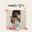 시흥탑동물의료센터 이미지