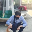 몽글몽글 이미지