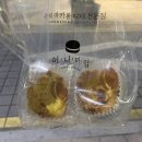 세븐스타코인노래연습장 진주대안점 이미지