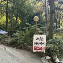 고령촌 | [대구 남구 앞산] 고령촌 돼지찌개 방문 후기 🍲