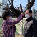 괘내마을 쌈지공원 이미지