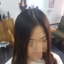 킹스헤어 이미지