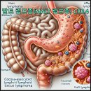 고도암 이미지
