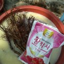 도전농장 Daum카페