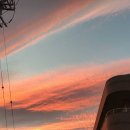 GL/백합] 나는 그녀가 신경쓰인다 - 1편 - 이미지