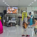 통기타 주간 이미지