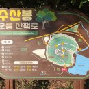 제주 수산리 곰솔 이미지