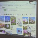 MC스크린골프 이미지