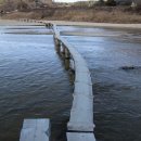 희망의 꽃 이미지