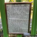 생각이 자라는 한우리 독서 토론 논술 3-4학년 | 한우리독서토론논술 2년차 후기, 초등국어 초등문해력이 자라는 4학년!