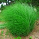 (주)진바이오텍 이미지