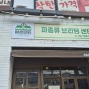 번식왕의브리딩센터