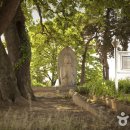 양성 석조여래입상 이미지