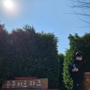 미로파크 | 제주여행4일차[서귀포잠수함/유진팡/중문미로파크/카페휴일로]