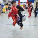 우정태권도교육관 이미지